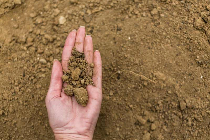 India's Soil Organic Carbon Content Fell From 1% To 0.3% In 70 Years